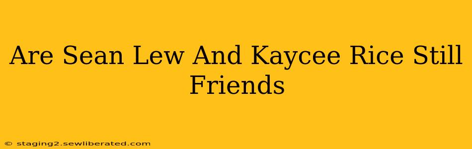 Are Sean Lew And Kaycee Rice Still Friends