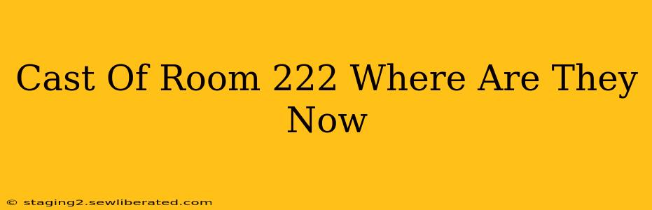 Cast Of Room 222 Where Are They Now