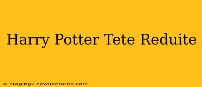 Harry Potter Tete Reduite