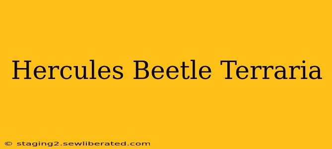 Hercules Beetle Terraria