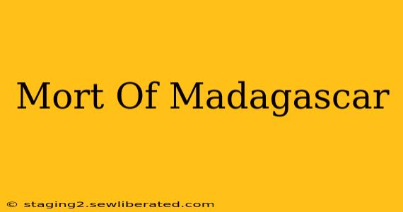 Mort Of Madagascar