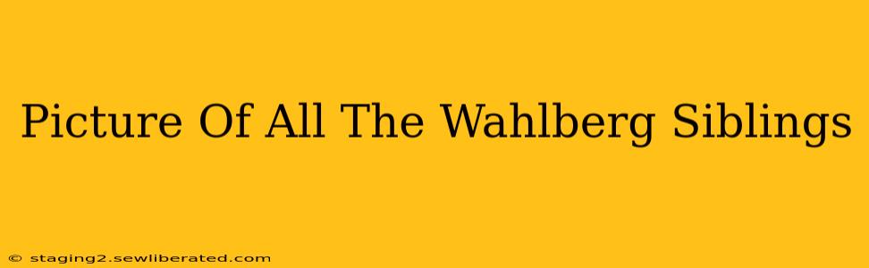 Picture Of All The Wahlberg Siblings
