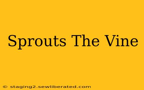 Sprouts The Vine